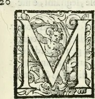 An illustration from L'idea della architettura vniversale (1615)