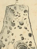 An illustration from Lietopis russk numizmatiki (1842)