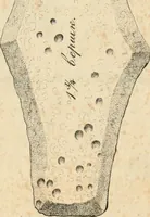 Picture 13 of 29 from Lietopis russk numizmatiki (1842), leaf 82