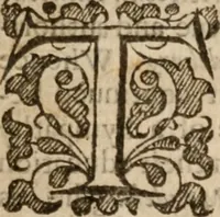 An illustration from The life and death of Dr. Martin Lvther; the passages whereof haue bin taken out of his owne and other Godly and most learned, mens writings, who liued in his time (1641)