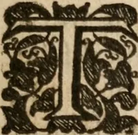 An illustration from The life and death of Dr. Martin Lvther; the passages whereof haue bin taken out of his owne and other Godly and most learned, mens writings, who liued in his time (1641)