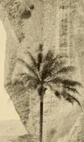 Picture 3 of 10 from The life & explorations of Frederick Stanley Arnot : the authorised biography of a zealous missionary, intrepid explorer, & self-denying benefactor amongst the natives of Africa (1921), leaf 103