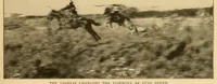 Picture 1 of 4 from Life-histories of African game animals (1914), leaf 259