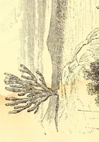 An illustration from Life in Abyssinia: being notes collected during three years' residence and travels in that country (1853)