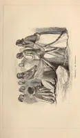 An illustration from Life in Abyssinia: being notes collected during three years' residence and travels in that country (1853)