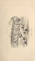 An illustration from Life in Abyssinia: being notes collected during three years' residence and travels in that country (1853)