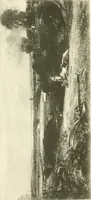 An illustration from Life and letters of John Constable, R. A (1896)
