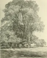 An illustration from Life and letters of John Constable, R. A (1896)