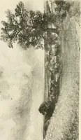 An illustration from Life and letters of John Constable, R. A (1896)