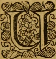 An illustration from The life of faith : in three parts .. (1670)