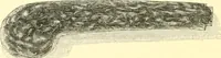 An illustration from The life of Josiah Wedgwood, from his private correspondence and family papers ... with an introductory sketch of the art of pottery in England (1865)