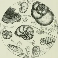 An illustration from The life story of the late Sir Charles Tilston Bright, civil engineer; with which is incorporated the story of the Atlantic cable, and the first telegraph to India and the colonies (1899)