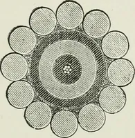 An illustration from The life story of the late Sir Charles Tilston Bright, civil engineer; with which is incorporated the story of the Atlantic cable, and the first telegraph to India and the colonies (1899)