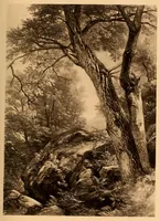 Picture 13 of 14 from The life and times of A.B. Durand (1894), leaf 265