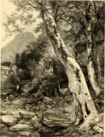 An illustration from The life and times of A.B. Durand (1894)