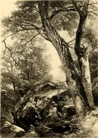 Picture 18 of 19 from The life and times of A.B. Durand (1894), leaf 254