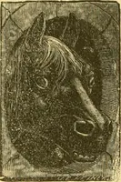 An illustration from Life and times of Conrad Weiser : the first representative man of Berks County (1893)