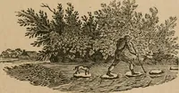 An illustration from The life and times of James Catnach : (late of Seven Dials), ballad monger (1878)