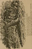 An illustration from The life and times of James Catnach : (late of Seven Dials), ballad monger (1878)
