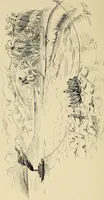An illustration from Life and times of S. H. West; (1908)