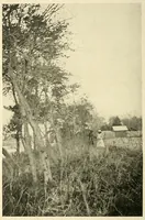 An illustration from The life and works of Paul Laurence Dunbar; containing his complete poetical works, his best short stories, numerous anecdotes and a complete biography of the famous poet (1907)