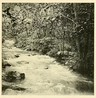 An illustration from The life and works of Paul Laurence Dunbar; containing his complete poetical works, his best short stories, numerous anecdotes and a complete biography of the famous poet (1907)