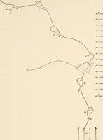 An illustration from Light and the behavior of organisms (1911)