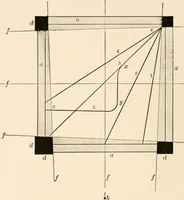 An illustration from Light and the behavior of organisms (1911)