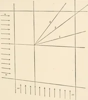 An illustration from Light and the behavior of organisms (1911)