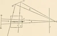 An illustration from Light and the behavior of organisms (1911)