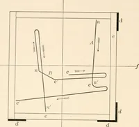 Picture 25 of 27 from Light and the behavior of organisms (1911), leaf 283