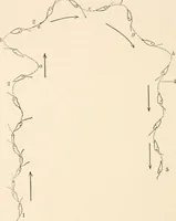 An illustration from Light and the behavior of organisms (1911)