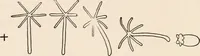 An illustration from Light and the behavior of organisms (1911)