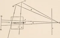 An illustration from Light and the behavior of organisms (1911)