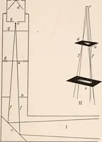 An illustration from Light and the behavior of organisms (1911)