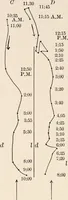 An illustration from Light and the behavior of organisms (1911)