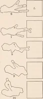An illustration from Light and the behavior of organisms (1911)
