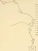An illustration from Light and the behavior of organisms (1911)