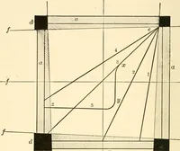 An illustration from Light and the behavior of organisms (1911)