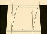 An illustration from Light and the behavior of organisms (1911)