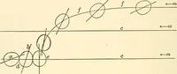 An illustration from Light and the behavior of organisms (1911)
