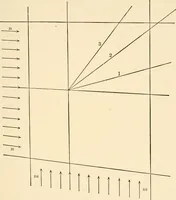 An illustration from Light and the behavior of organisms (1911)