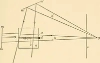 An illustration from Light and the behavior of organisms (1911)