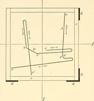 Picture 28 of 29 from Light and the behavior of organisms (1911), leaf 285