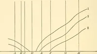 An illustration from Light and the behavior of organisms (1911)
