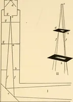 An illustration from Light and the behavior of organisms (1911)