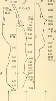 An illustration from Light and the behavior of organisms (1911)