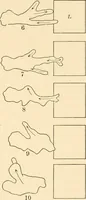 Picture 10 of 29 from Light and the behavior of organisms (1911), leaf 96