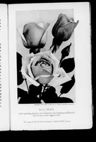 Picture 10 of 10 from Light and color in advertising and merchandising [microform] (1923), leaf 204