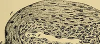 An illustration from Light energy, its physics, physiological action and therapeutic applications (1904)